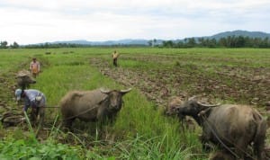 Photo from bulatlat.com