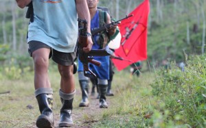npa_march_flag01