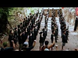 NPA Panay01