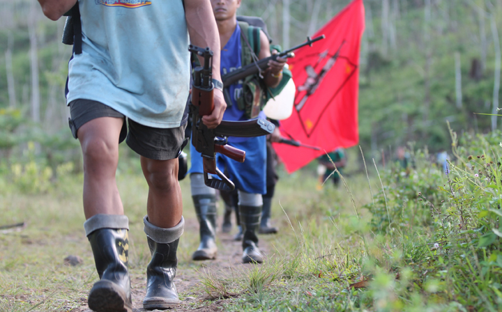 npa march flag01