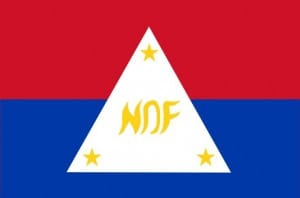 NDFP Flag