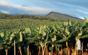 SUMIFRU Davao del Norte